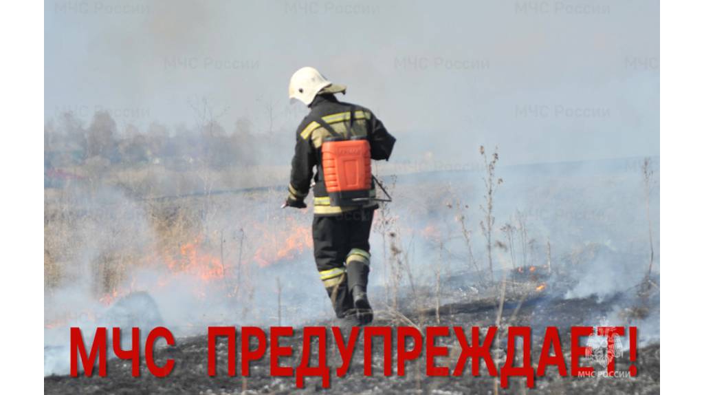 За неделю в Брянской области произошло 120 природных пожаров