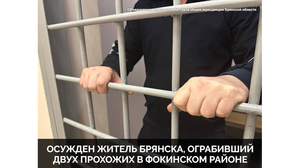 Жителя Брянска осудили за уличные грабежи