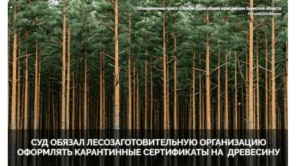 В Брянске суд обязал ООО «Кедр+» оформить карантинные сертификаты на вывозимую древесину