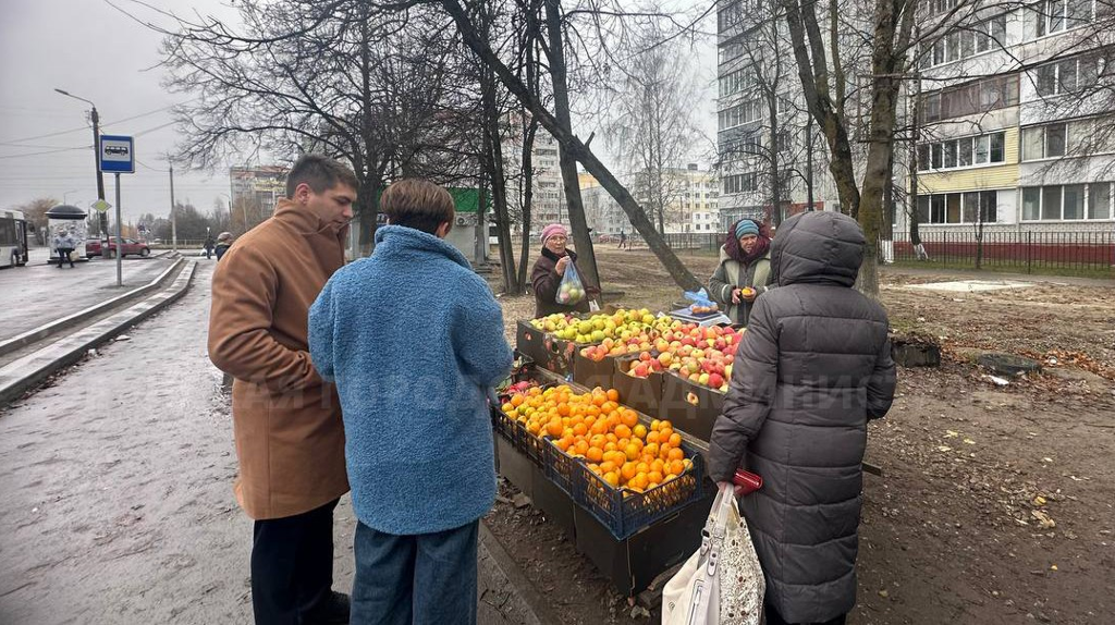 В Бежицком районе Брянска пресекли факты незаконной уличной торговли