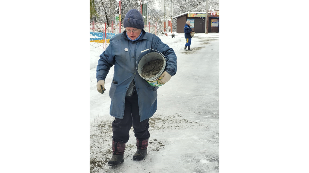 В Брянске из-за непогоды рухнули более 100 деревьев