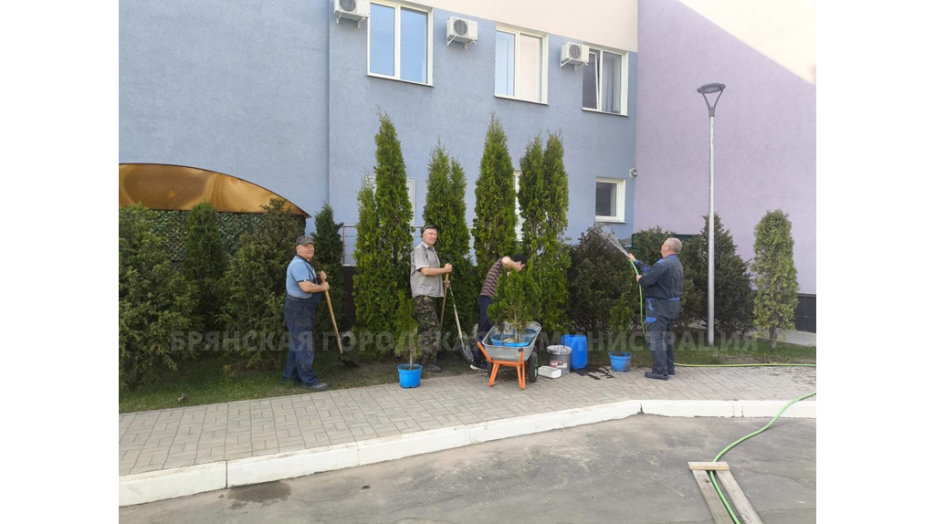«Брянск зеленый»: к акции по высадке деревьев в городе подключились спортсмены