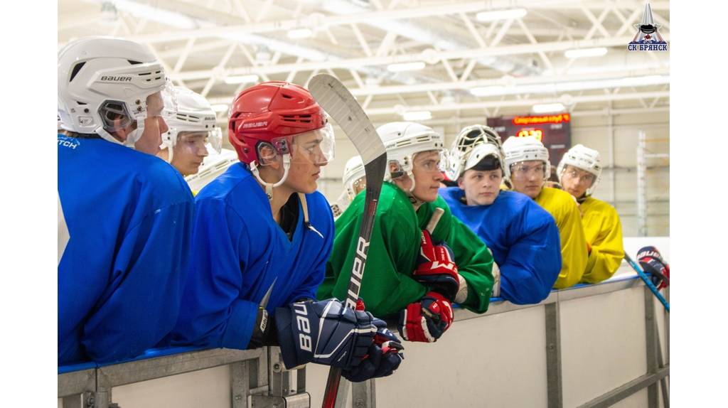Брянские хоккеисты начали подготовку к новому сезону
