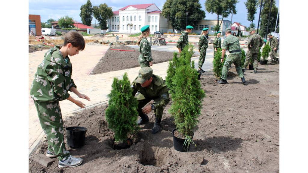 В стародубском сквере «40 лет Победы» высадили туи