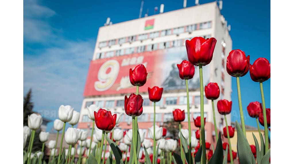 Брянск преобразился к празднованию Дня Победы