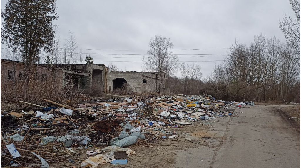 Под Брянском возле озера в Дарковичах появился мусорный полигон