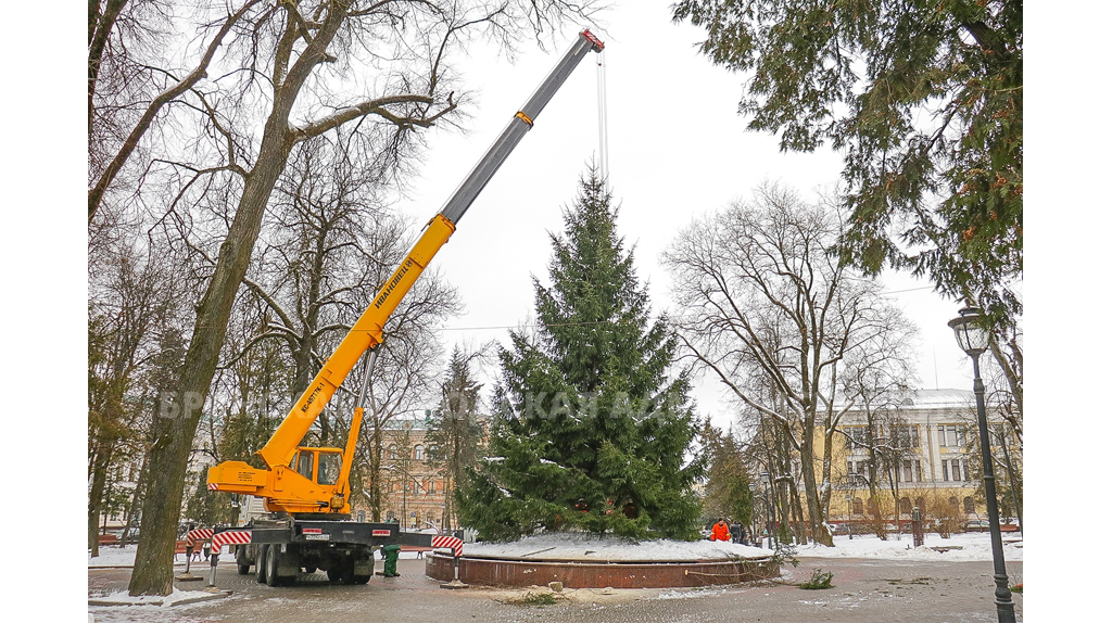 В Брянске открытие главной городской елки состоится 19 декабря