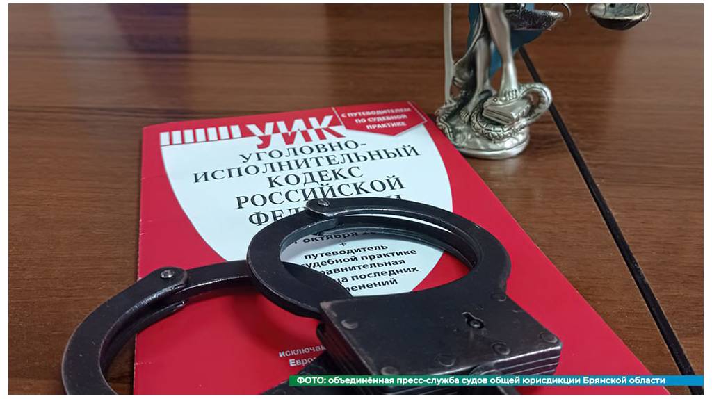 В Брянской области с начала года зарегистрировали 12 разбоев