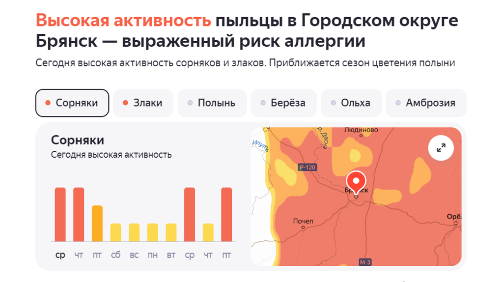 Брянских аллергиков атакует новая волна цветения