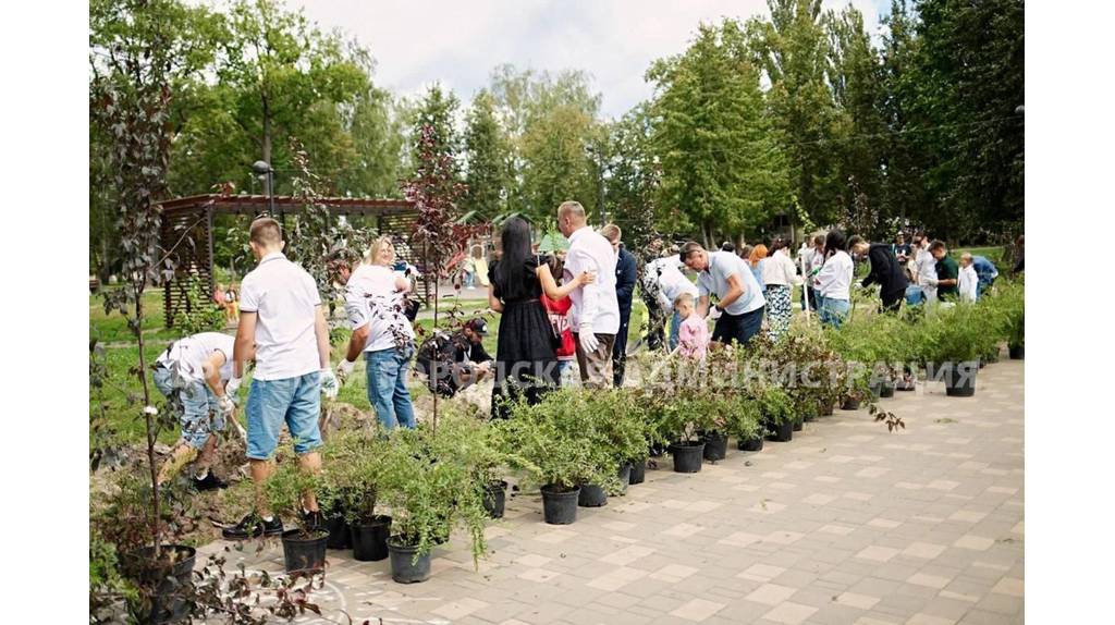 В Брянске летнюю эстраду в Майском парке «окружили» яблонями и кустарниками