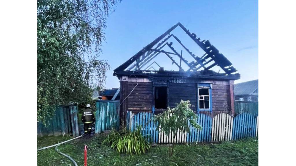 В Брянской области за неделю произошло 53 пожара: два человека погибли
