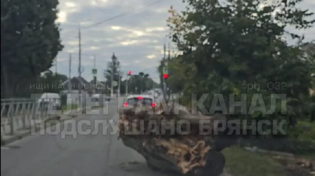«Кинули кусок бревна»: в Брянске жители Плодородной заблокировали дорогу