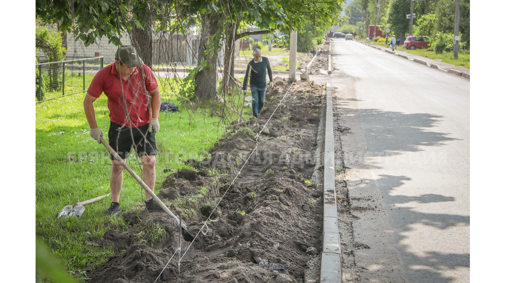 На улице Димитрова в Брянске делают новый тротуар