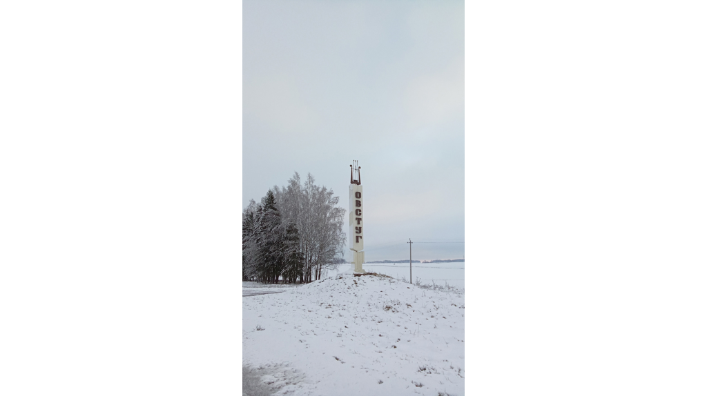 Брянцам показали красоту заснеженного Овстуга