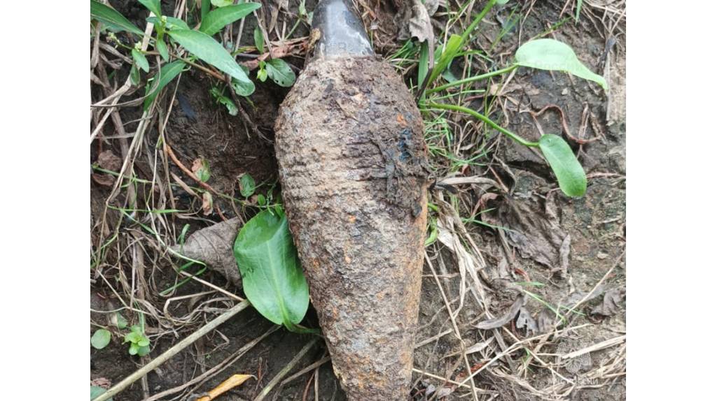 В лесу под Жуковкой обнаружили мину