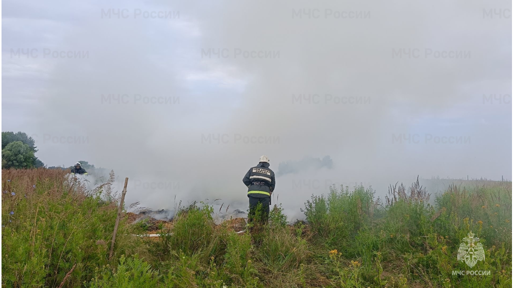 На полях брянского предприятия по выращиванию опийного мака потушили условный пожар