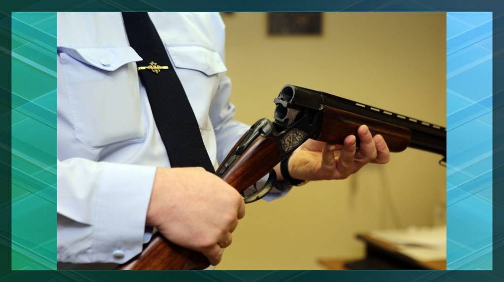 За два года полицейские изъяли у брянцев почти 1700 единиц огнестрельного оружия