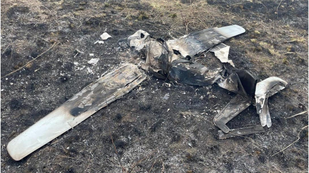 В Брянской области уничтожен очередной беспилотник ВСУ