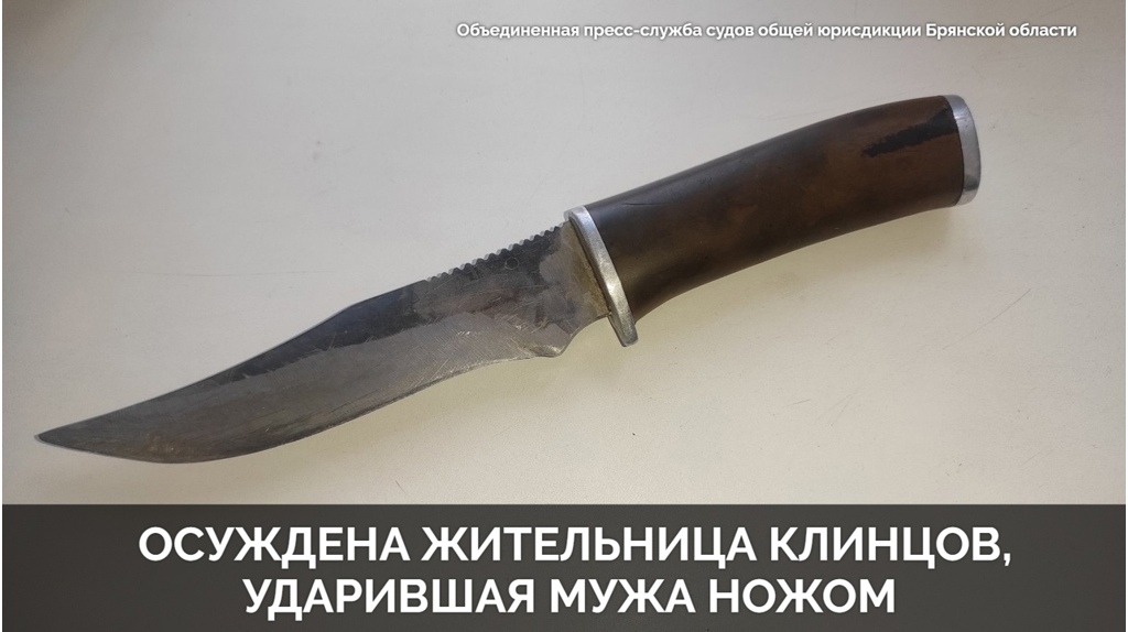 Жительница Клинцов в пьяном угаре пырнула ножом в живот мужа