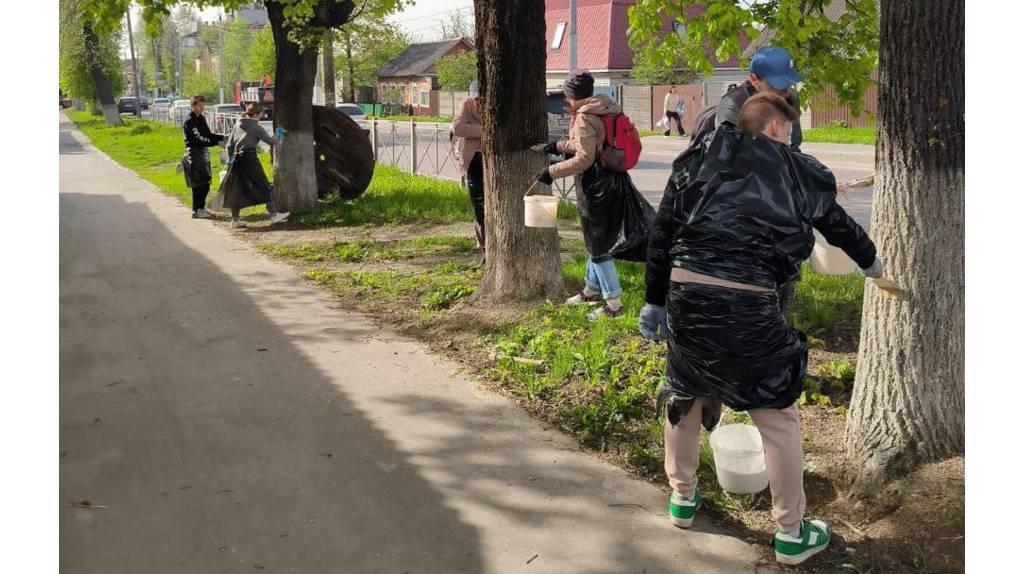 Белили деревья и красили бордюры: в Брянске прошла «санитарная пятница»