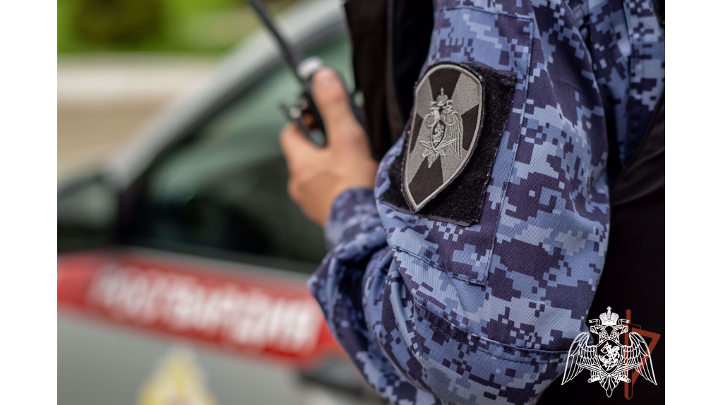 В Брянске двое пьяных мужчин устроили стрельбу в частном секторе