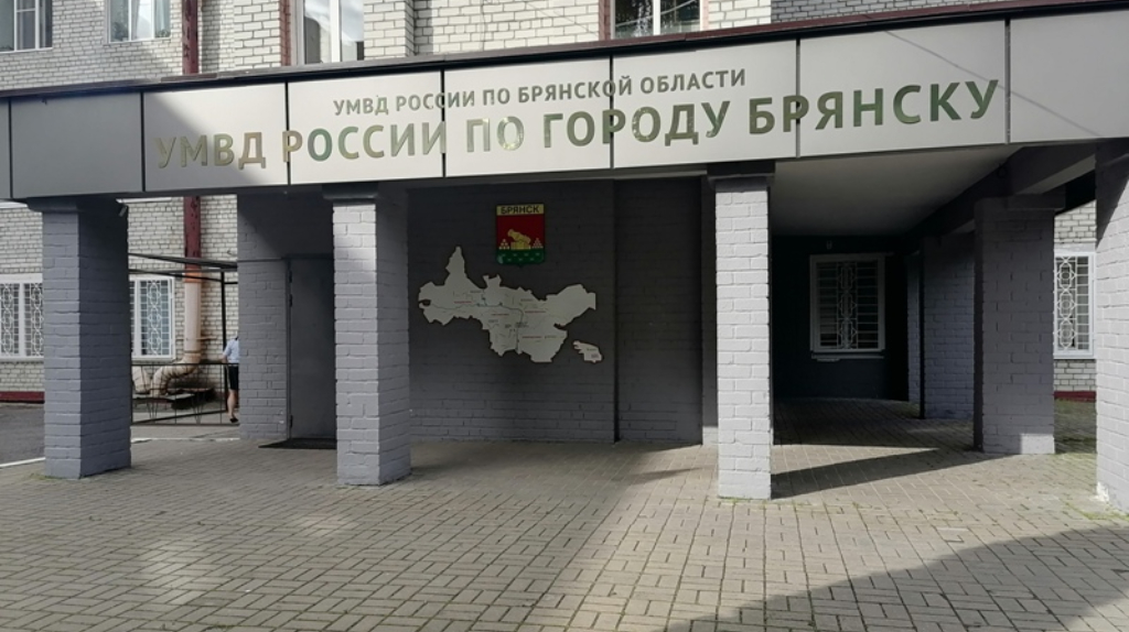 В Брянске за неделю полицейские раскрыли 50 преступлений