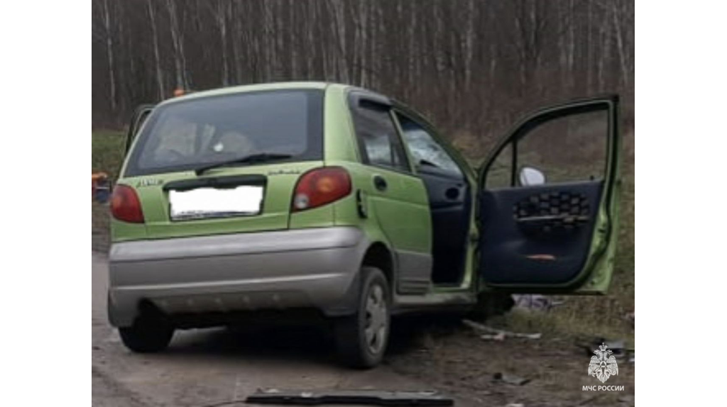 Пожарные вырезали из машины пострадавшего в ДТП на брянской трассе под Унечей