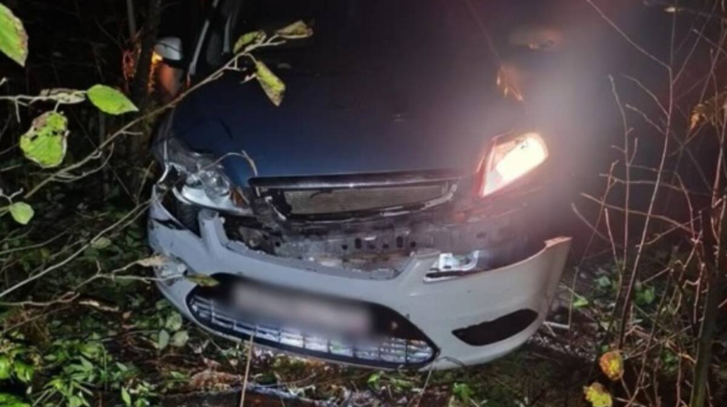 Пьяный брянец устроил аварию и пытался скрыться под Петербургом