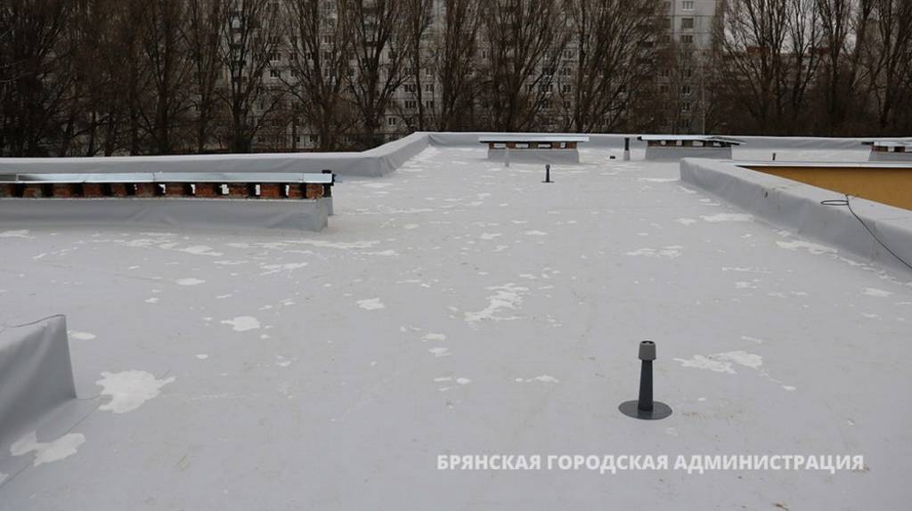 В Брянске в 30 школах и детсадах начался ремонт крыш