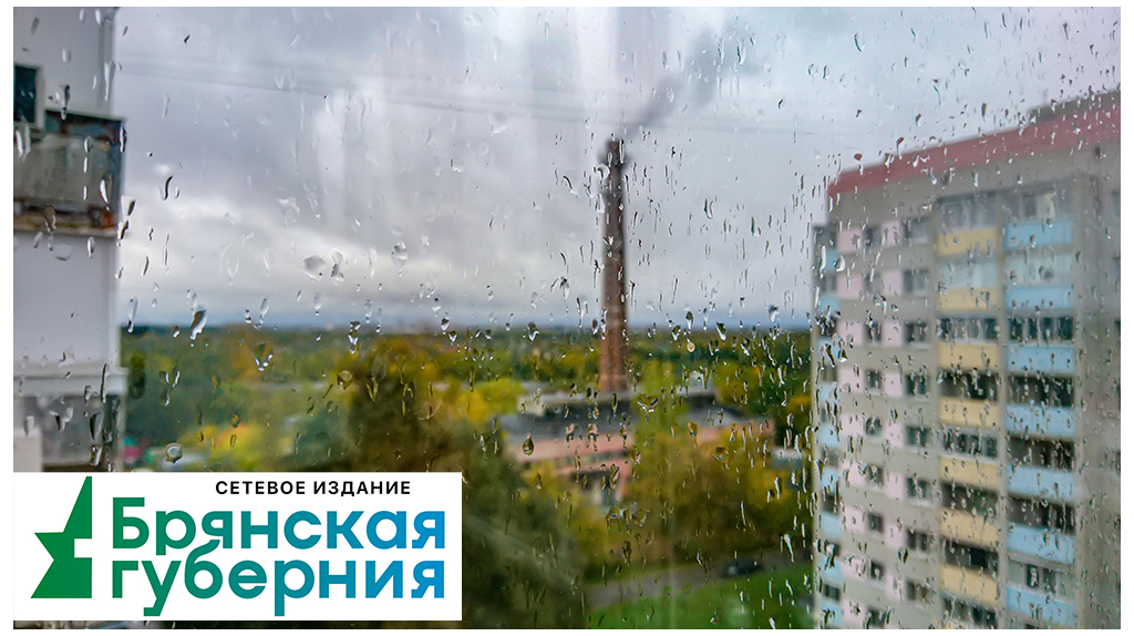 На Первомай брянцам обещают дожди и до +15