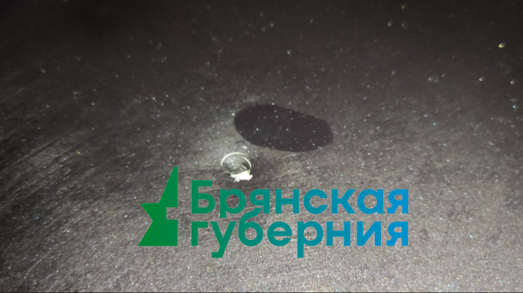 Что известно о ночном ударе дронов ВСУ по жилым кварталам Брянска