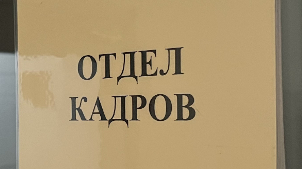 Опыт волонтерства помог 28% брянцев найти работу