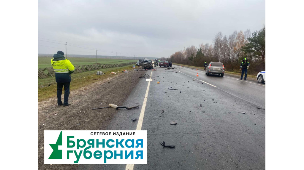 Появились фото с места смертельного ДТП в Комаричском районе Брянской области