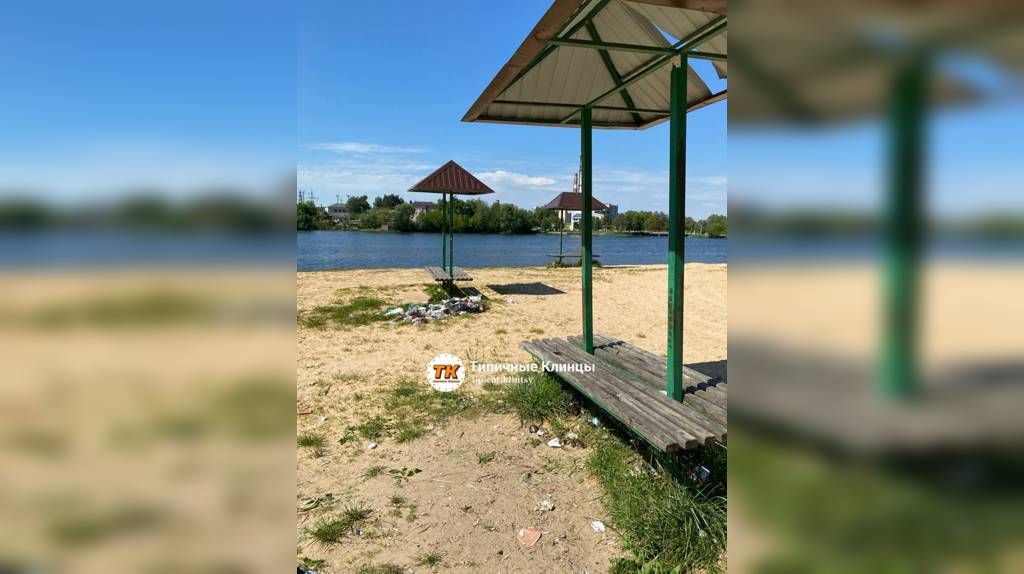 Жители Клинцов пожаловались на залежи мусора на пляже Стодольского озера