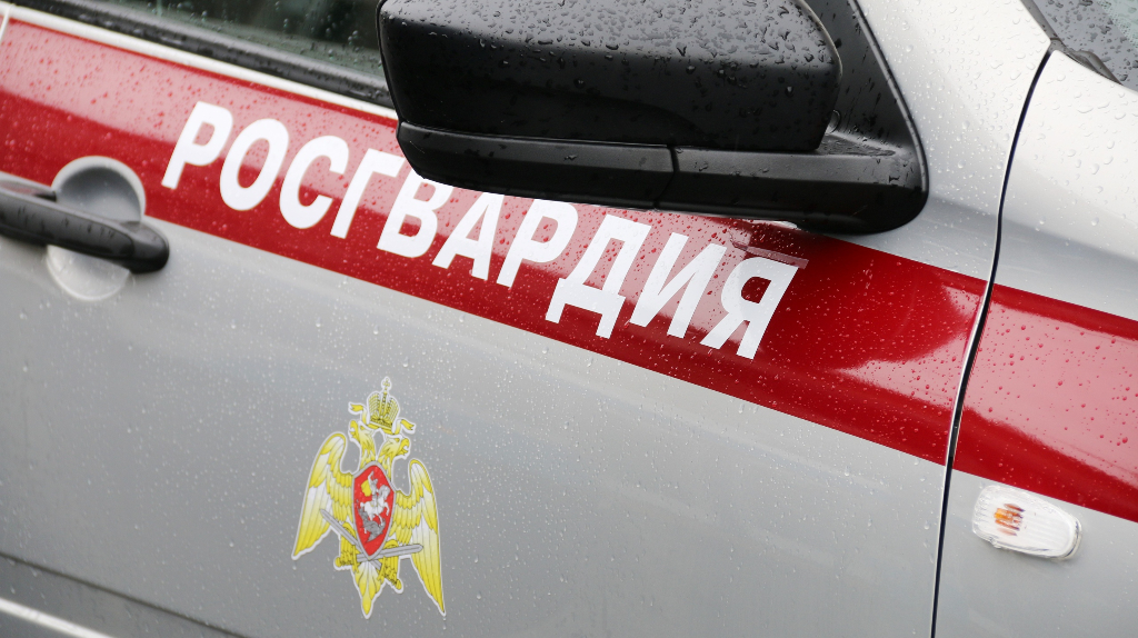 Росгвардейцы круглосуточно дежурили во время массовых гуляний в Брянске