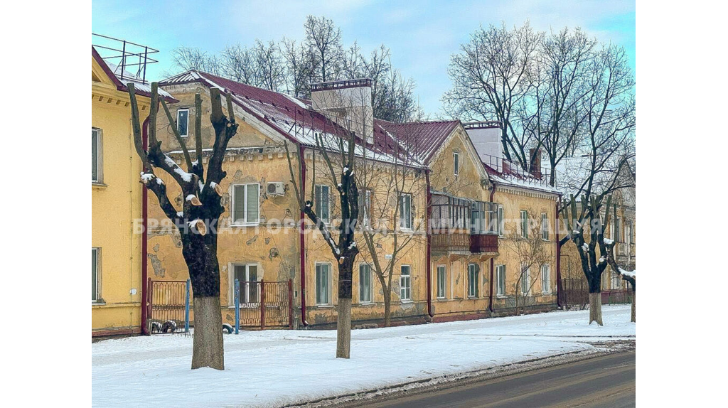В Брянске с начала года кронировали более 700 деревьев